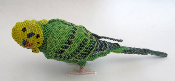 Green Parakeet Casey 1