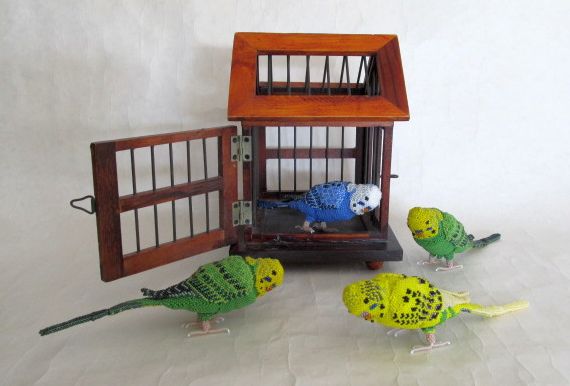 My parakeet flock with cage