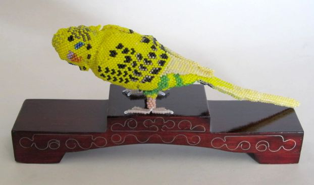 Yellow Parakeet Jesse